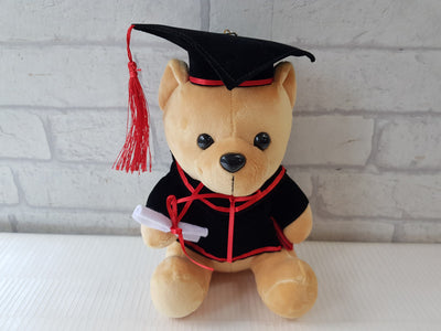 Graduation Bear - TY145