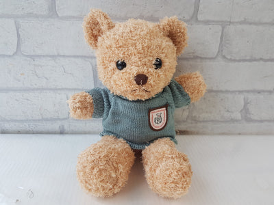Cuddly Teddy Bear - TY181