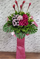pureseed op228+ Hydrangeas, Gerberas, Ping Pong and Ginger Flower + opening stand
