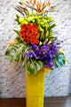 pure seed op116 +  Gerberas, Lilies and Eustomas, a fringe of Orchids + opening stand