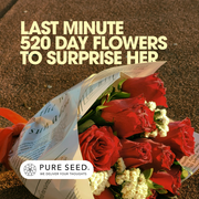 What Is 520? Romantic Meaning & Flower Gift Ideas | Pure Seed