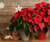 Holiday Gift Guide 2022: Best Christmas Flower Gift Ideas