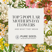 What Is 520? Romantic Meaning & Flower Gift Ideas | Pure Seed
