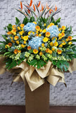 Hydrangeas, Roses, Gerberas, Orchids and Bird of Paradise grand opening