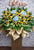 Hydrangeas, Roses, Gerberas, Orchids and Bird of Paradise grand opening