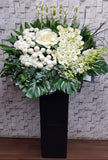 white gerbera ping pong Condolences Flower Stand - SY235