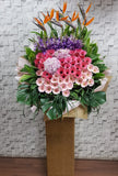 Hydrangeas, Gerberas, Orchids, Bird of Paradise grand opening