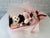 Graduation Gerbera & Rose Hand Bouquet - BQ916