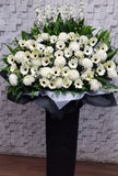 White Gerbera Chrysanthemum Sympathy Flower Stand - SY254