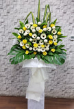 Yellow Ping Pong White Gerbera Sympathy Flower Stand - SY255