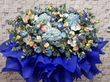 Azure Opening Stand Flower - OP269