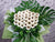 Comfort & Support Condolences Stand - SY260