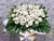 Deepest Condolences Flower Stand - SY240