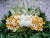 Graceful Respect Condolences Stand - SY298