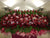 Grand Prosperity Grand Opening - OP296