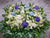 Great Homage Condolences Flower Stand - SY239
