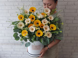 Joyful Daisy Flower Box - BT118