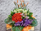 Jubilant Opening Stand Flower - OP116