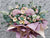 Pastel Opening Stand Flower - OP234
