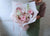 Pink Rose Perfection Flower Bouquet - HB084