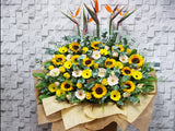 Shining Bright Opening Stand Flower - OP237