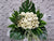 White Elegance Condolences Flower Stand - SY248