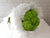 Green Hydrangeas Flower Bouquet - HB058