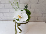 Phalaenopsis & Green Stick Flower Box - BT147