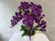 White Orchid Grace - Artificial Flower (AT049)