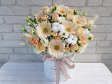 Champagne Rose & Gerberas Flower Box - BK177