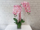 Artificial Phalaenopsis Orchid - AT001