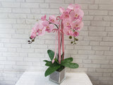 Artificial Phalaenopsis Orchid - AT001