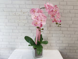 Artificial Phalaenopsis Orchid - AT001