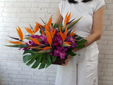 Radiant Bird of Paradise & Orchid Flower Basket - BK191