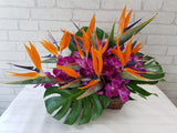 Radiant Bird of Paradise & Orchid Flower Basket - BK191