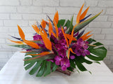 Radiant Bird of Paradise & Orchid Flower Basket - BK191