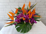 Radiant Bird of Paradise & Orchid Flower Basket - BK191