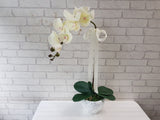 Artificial Phalaenopsis Orchid - AT028