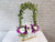 Glorious Orchids Vase - VS105