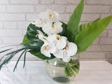 Phalaenopsis Glass Vase - VS134