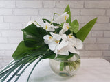Elegant Phalaenopsis Glass Vase - VS134
