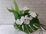 Elegant Phalaenopsis Glass Vase - VS134
