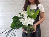 Elegant Phalaenopsis Glass Vase - VS134