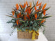 pure seed bk219 +  Bird of Paradise, Red Berries and Eucalyptus Leaves+ basket arrangement