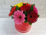 Dainty Colorful Gerbera - BK227