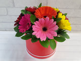 Dainty Colorful Gerbera - BK227