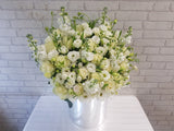 Grace & Purity Tulip Roses - BK217