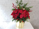 Joyful Poinsettia Mx Christmas Gift - XM157