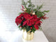 Joyful Poinsettia Mx Christmas Gift - XM157