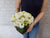 Elegant White Rose & Eustomas Vase - VS140